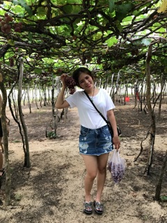 Quần giả váy bò