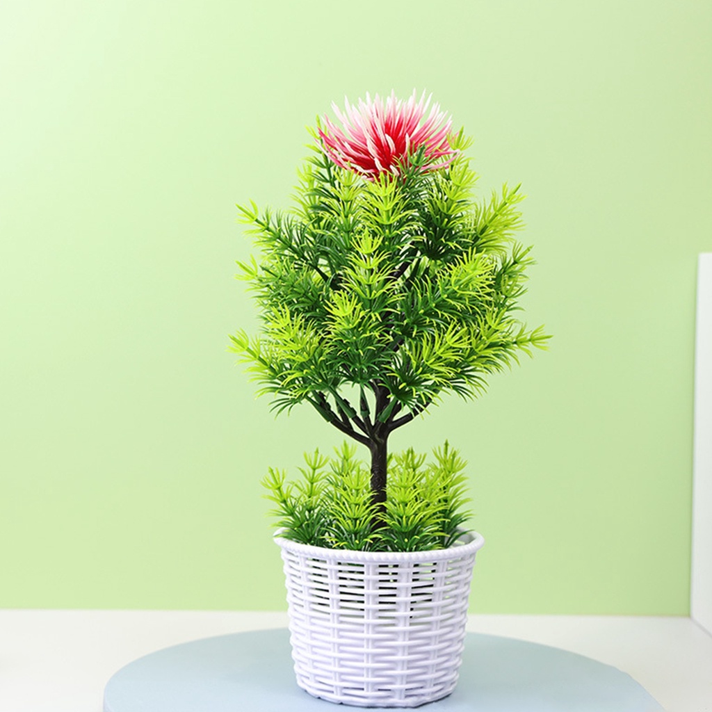 Cây Bonsai Nhân Tạo Dùng Trang Trí Tiểu Cảnh DIY