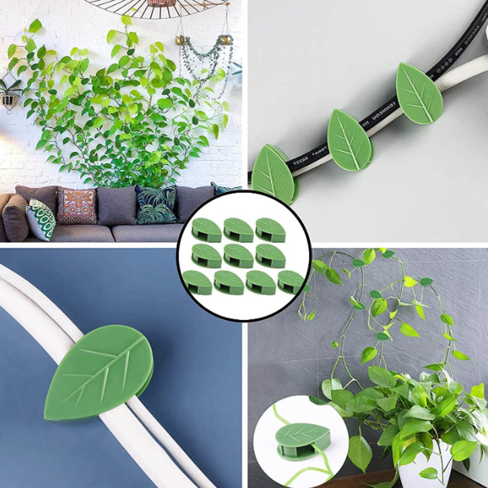 Giá Đỡ Cây Dây Leo Gắn Tường Tiện Dụng Cho Sân Vườn