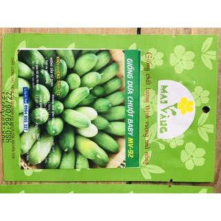 Hạt giống dưa chuột baby
