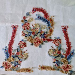 Phượng hoàng bộ