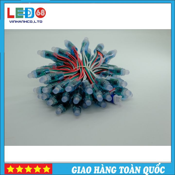 Đèn Led Đúc F8 Full Color IC 1903