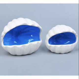 Nhà ngủ hamster bọ nhím bằng sứ hình dáng vỏ sò - xaxipet