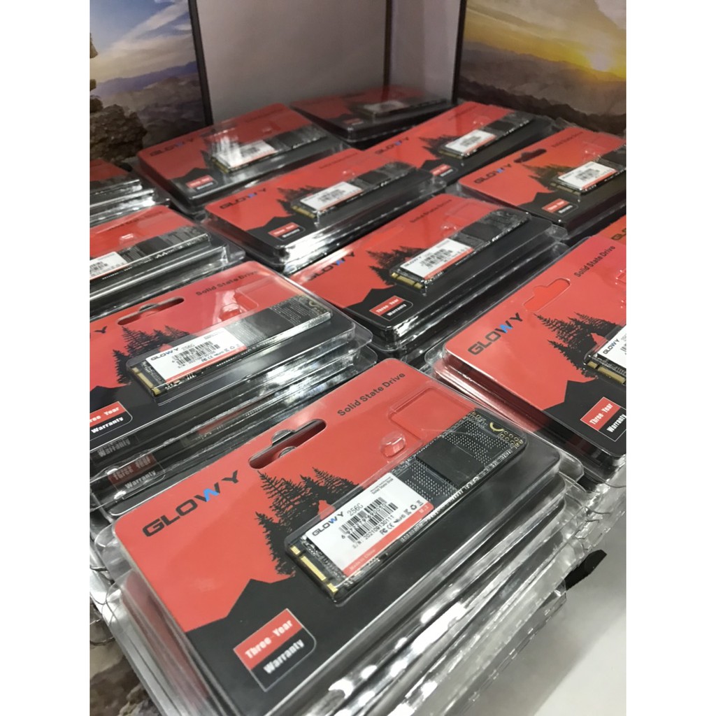 Ổ cứng SSD M2 Gloway 256GB (Sata3.0) – CHÍNH HÃNG – Bảo hành 3 năm !!! | BigBuy360 - bigbuy360.vn