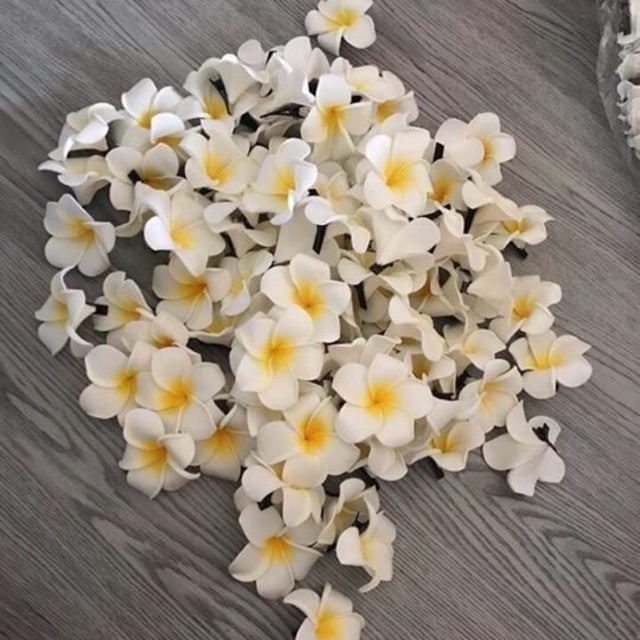 Hoa cài tóc 🌼
