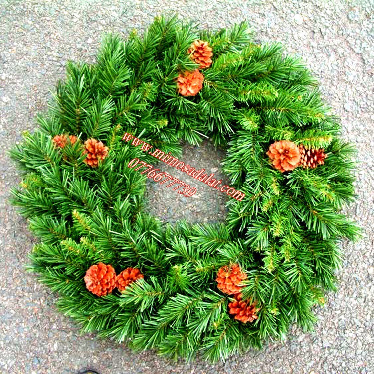 1 Kg quả Thông loại lớn cao 6->8 cm