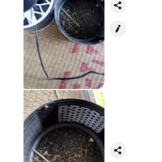 Máy bắt muỗi diệt muỗi thông minh