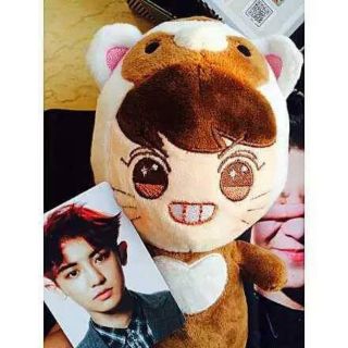 DOLL EXO (35cm)