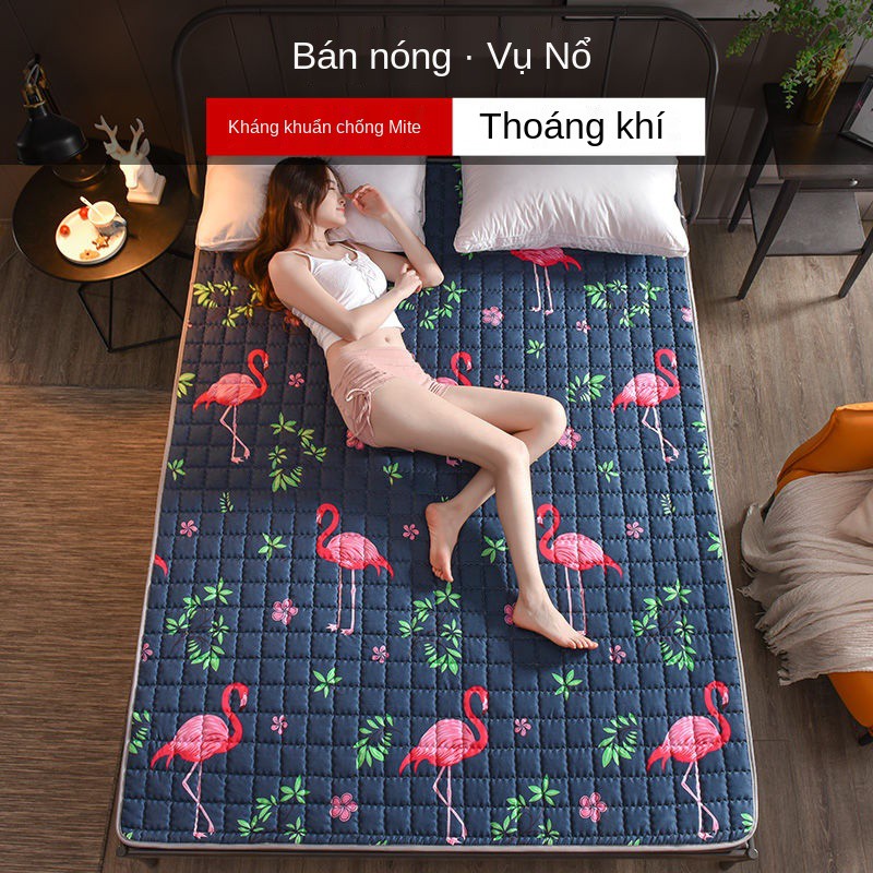 Nệm có thể giặt bằng máy, chiếu tatami, thảm bảo vệ chống trượt, trải giường, ký túc xá sinh viên, phổ thông cho t