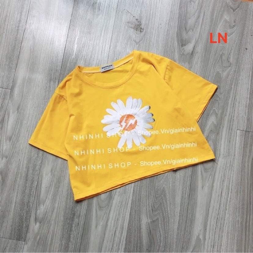 Áo croptop hoa cúc