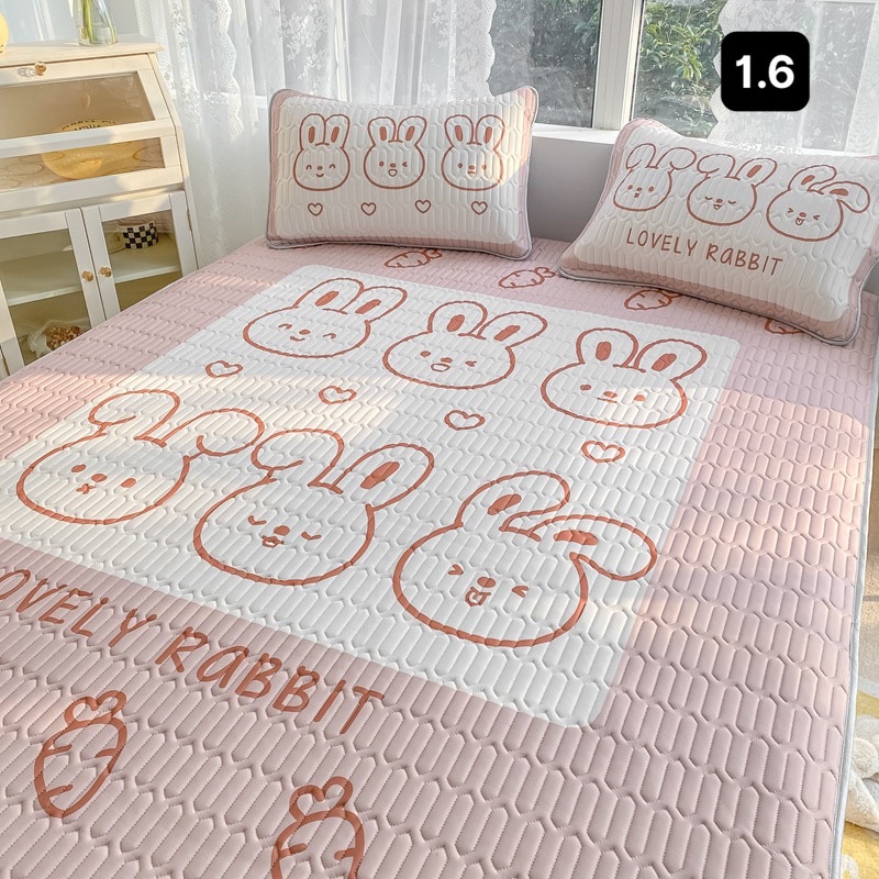 [ LIFEMC66A3 giảm 10% tối đa 60k cho đơn từ 250k ] Chiếu điều hoà túi rút tencel 5D IGUN BEDDING ( kèm 2 vỏ gối nằm )