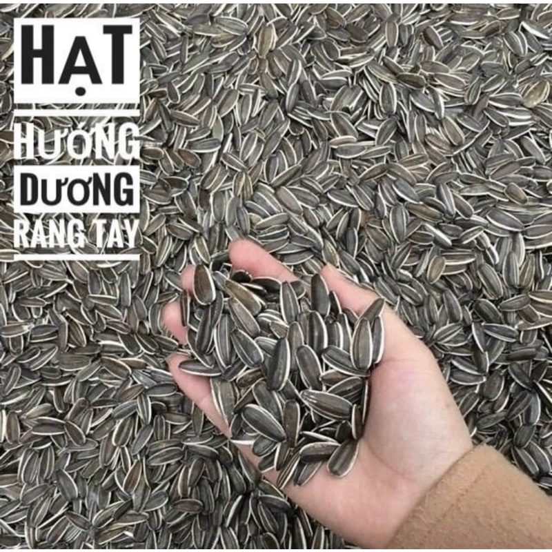 Hướng Dương Rang Củi Siêu Ngon Thơm Ngậy Gói 100g CHOÉN 143