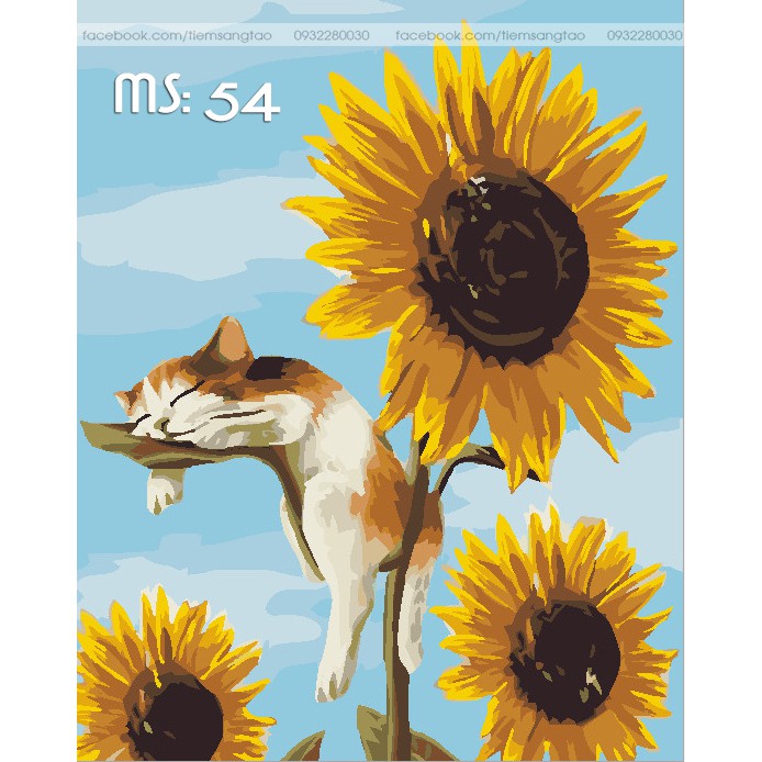 Bộ Tranh tô màu đồi hoa hướng dương T293 và Tranh mèo lười T54