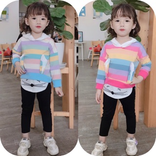 Set cầu vòng mèo