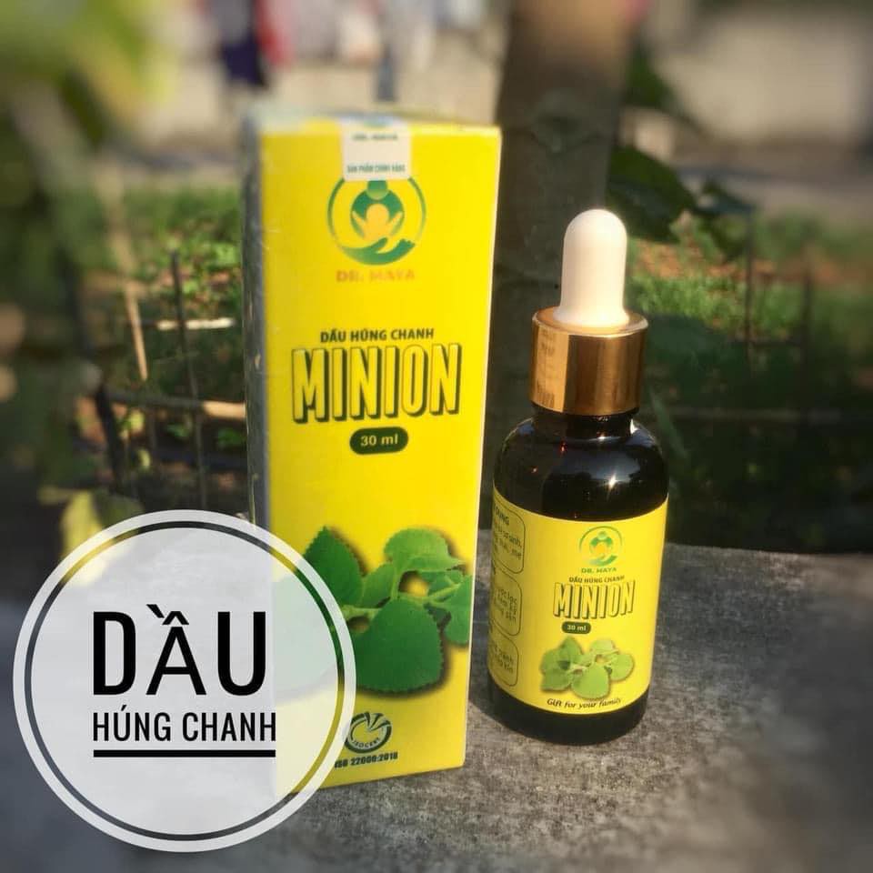 Dầu húng chanh minion