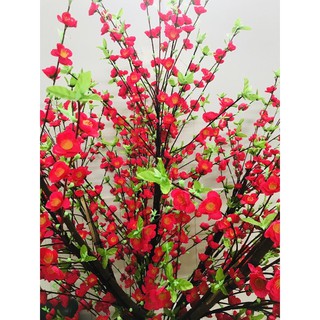 1 cành hoa anh đào Lộc