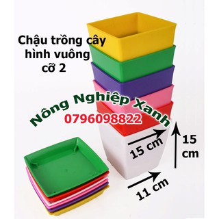 Chậu trồng cây hình vuông cỡ 2
