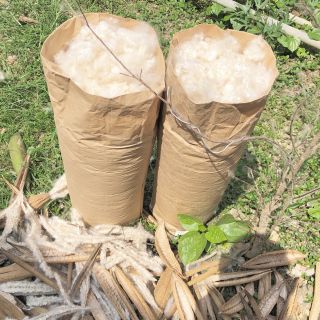 Gòn tự nhiên loại 1