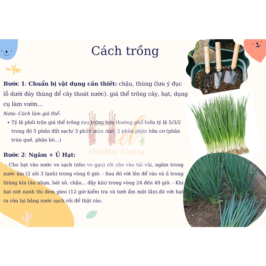 Hạt Giống Hành Lá Gốc Trắng Cao Sản Dễ Trồng-Trồng Hạt Giống Rau Củ Quả Bằng Đất Sạch, Xơ Dừa, Mùn Dừa, Phân Bón Hữu Cơ