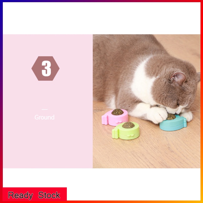 Quả Bóng Catnip Bạc Hà Khô Catnip Làm Sạch Răng Cho Mèo Cưng