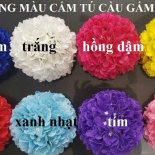 Hoa cẩm Tú cầu