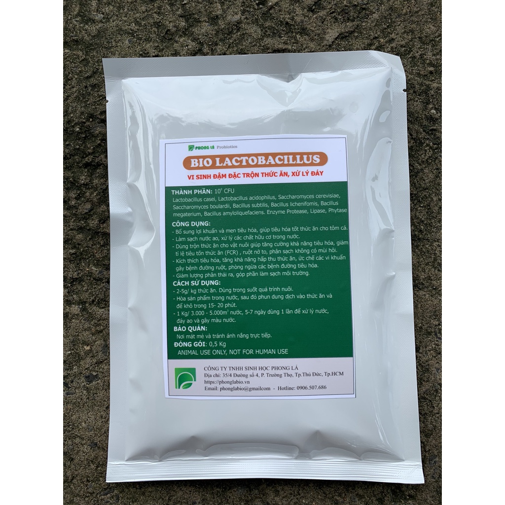 BIO LACTOBACILLUS Vi sinh cô đặc dạng bột