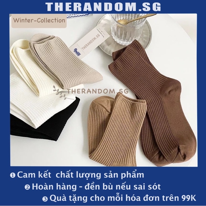 🎁 Set Vớ/Tất Cổ Cao Vintage Hàn Quốc Thun Dệt Gân Mảnh Ôm Cực Đẹp