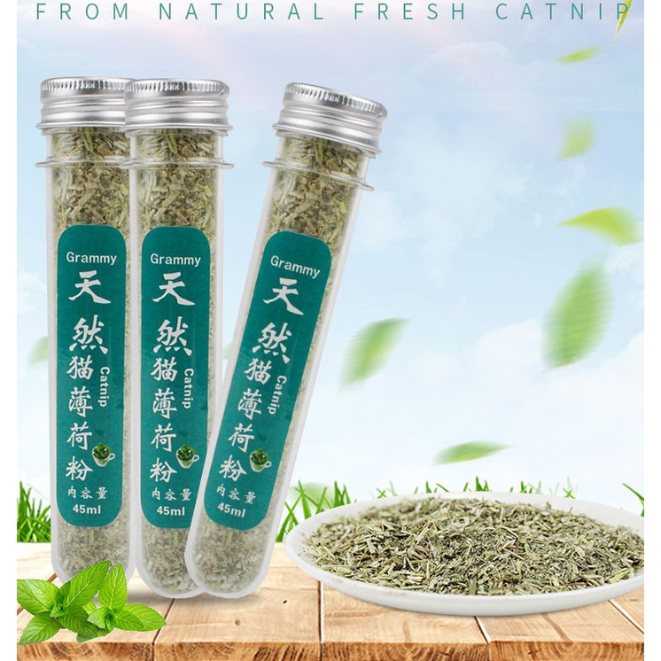 Cỏ bạc hà cho mèo catnip thư giãn ống 45ml, đồ chơi snack ói búi lông giảm căng thẳng Con Mèo Xiêm