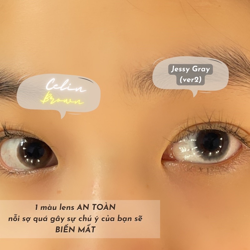 lens cận nâu Tự nhiên Celin Brown kèm Khay dụng cụ đeo _ Qadlenses - Kính áp tròng dành cho mắt