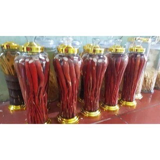 Sâm cau đỏ Tây Bắc 1kg