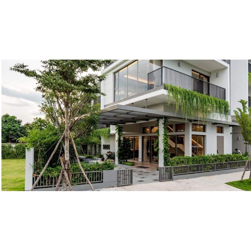 Cây cúc tần ấn độ dây leo chống nắng hướng Tây, decor quán cà phê, spa