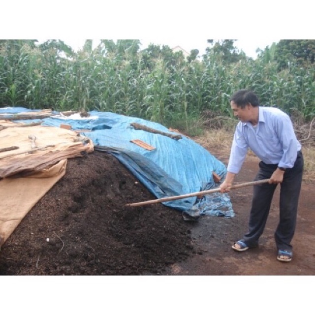 Chế phẩm Trichoderma Phúc Lâm (1kg)  kháng bệnh, cải tạo đất, ủ phân chuồng...