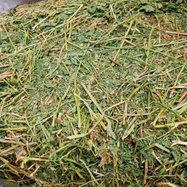 1kg cỏ alfalfa giàu dinh dưỡng cho thỏ-bọ ú- guinea pig