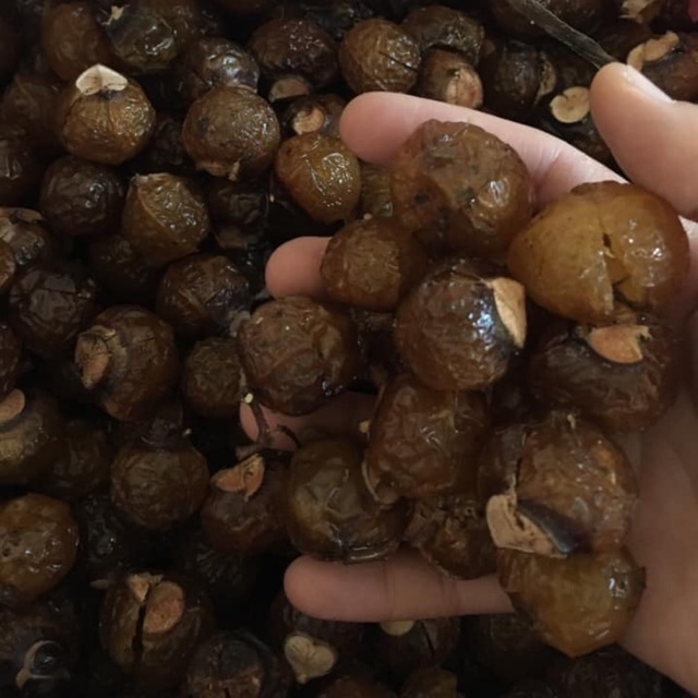 Quả bồ hòn