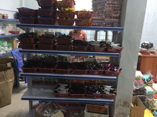 Combo 100 bút xinh 20 mẫu