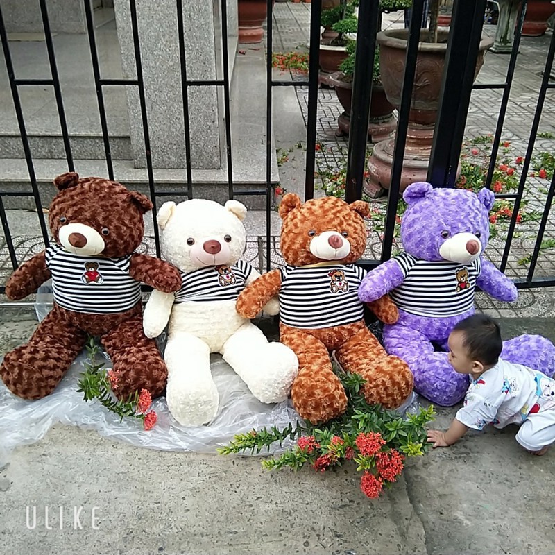 GẤU TEDDY 1M1