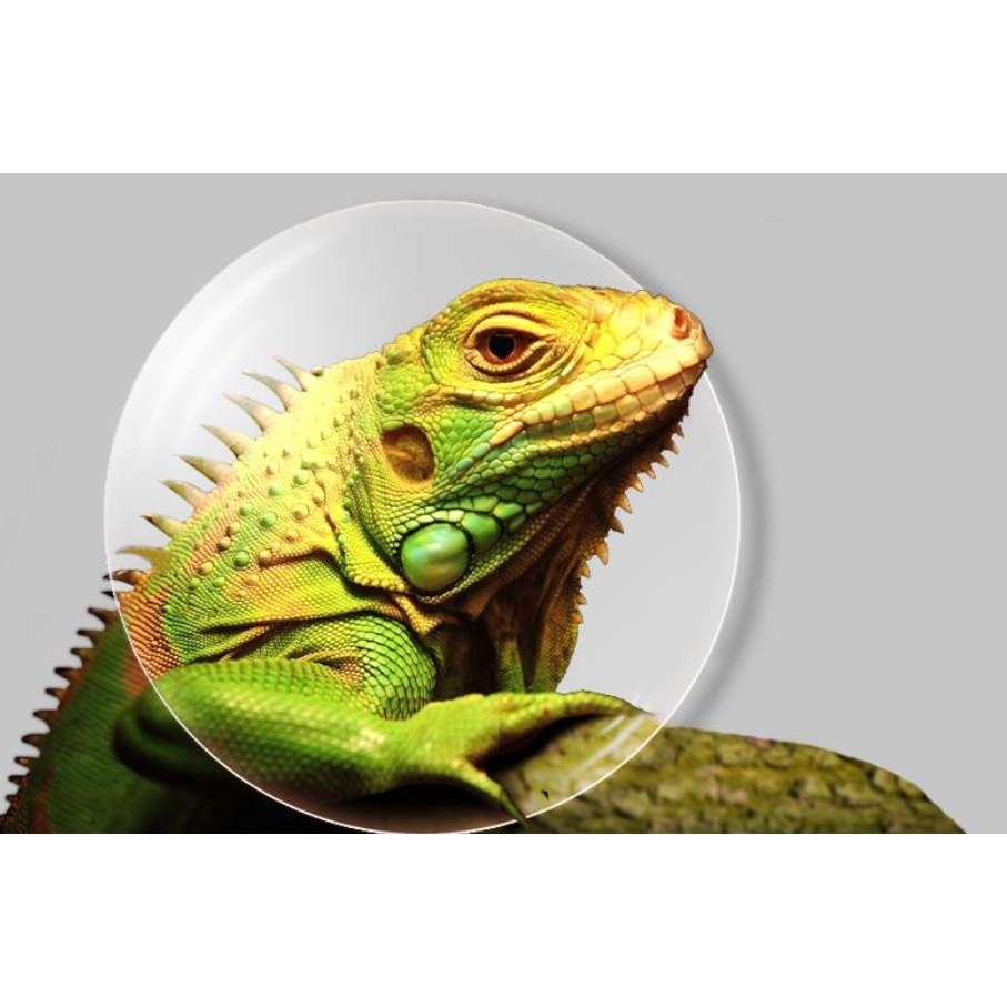 Kính 3D Dành Cho Máy Chiếu XGIMI Chính Hãng - Pin Sạc