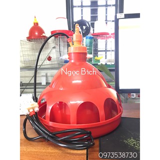Máng Uống Nước Tự Động cho Gà THAILAND ( có vành chụp )