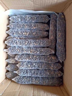 10 túi lưới phân dê 20cm bón phong lan