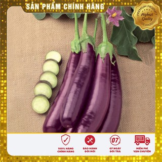 Hạt giống Cà Tím Dài F1 2gram [Bán Sỉ]