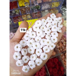 hoa bột đẹp