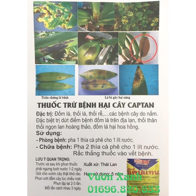 Thuốc trị nấm bệnh cho Lan và hoa hồng Captan (Thái Lan)