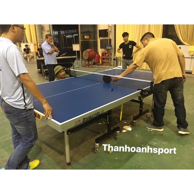 Bàn Bóng Bàn Double Fish DF-233