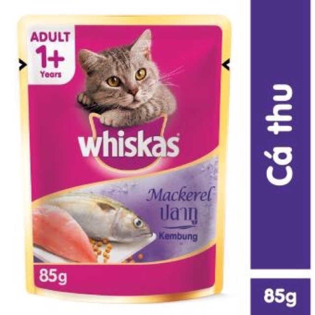 SỐT WHISKAS JUNIOR CHO MÈO CON VỊ CÁ NGỪ