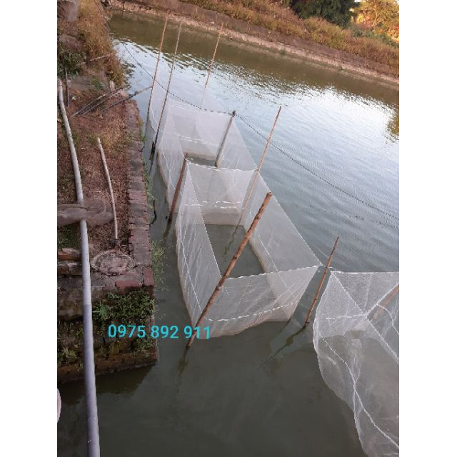 Tráng nuôi ốc nhồi - ếch - cá loại 2x1x1,3 sản phẩm tốt 121