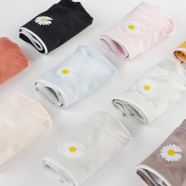 Quần Lót Cotton Ép Không Viền Hoa Cúc Hotrend 287