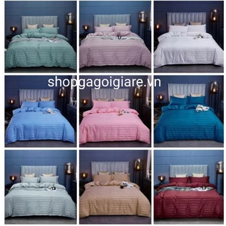 Trọn bộ chăn ga gối cotton kẻ 3f,ga gối chuyên dùng cho khách sạn