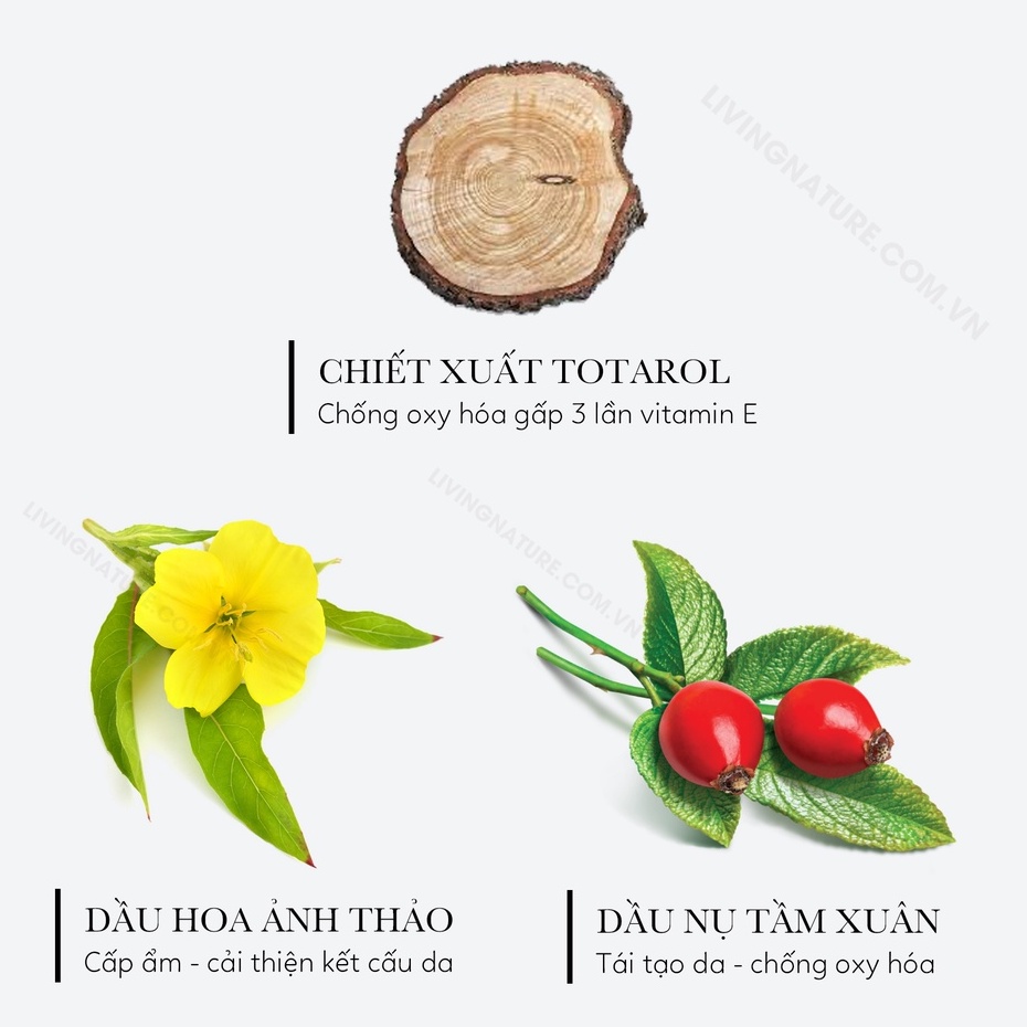 [Hỏa tốc] Dầu dưỡng da ban ngày Ultimate Day Oil