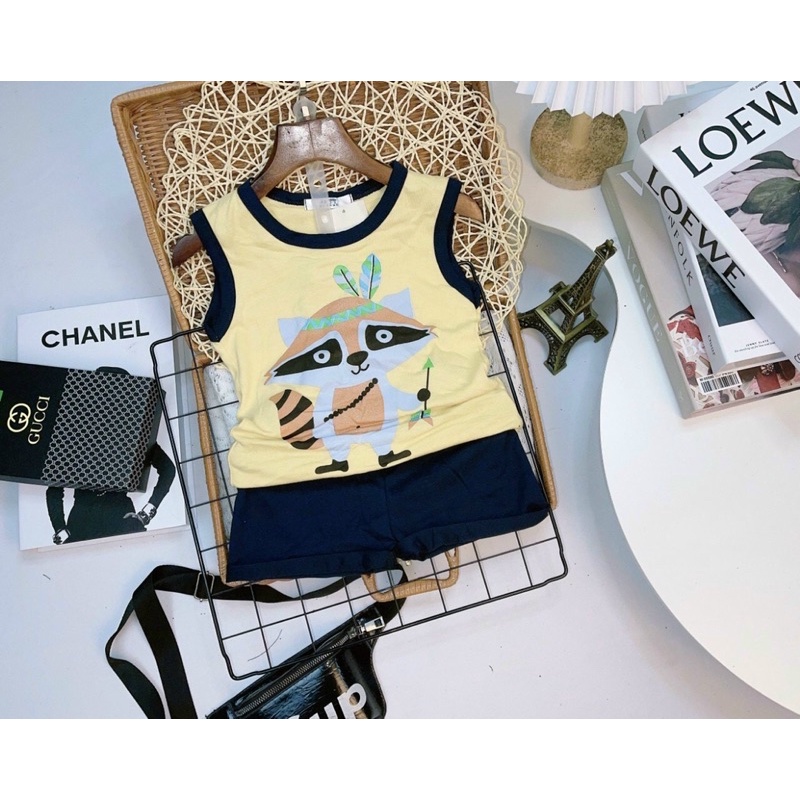 Bộ quần áo phông cho bé trai,chất liệu cotton 100% mềm mại cho bé