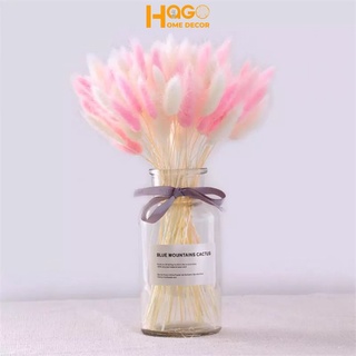 Hoa khô, lọ hoa thủy tinh kèm hoa đuôi thỏ,cỏ lau Mỹ cắm sẵn cao 25cm trang trí, decor nhà cửa